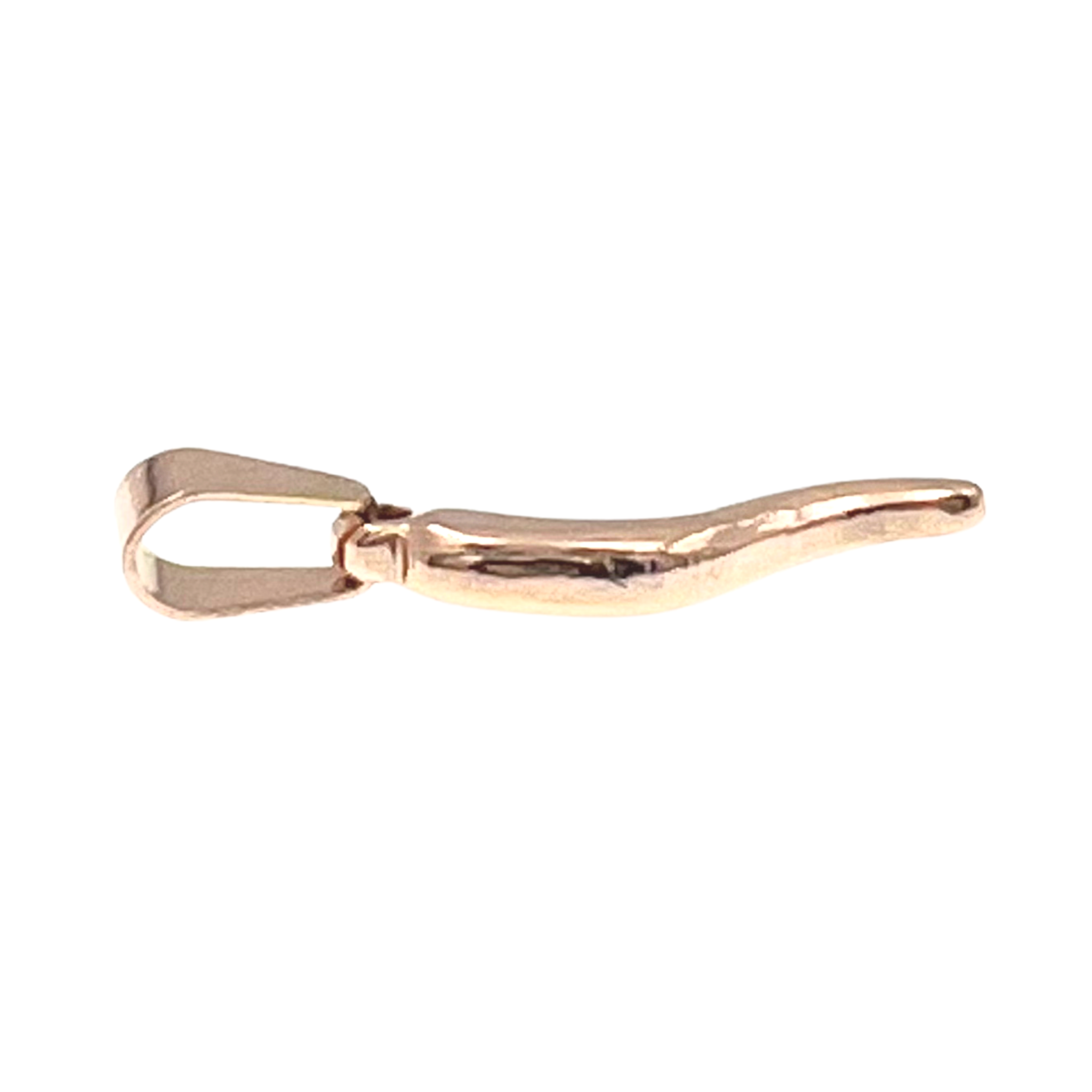 Small Italian Horn "Cornicello" Stainless Steel Pendant