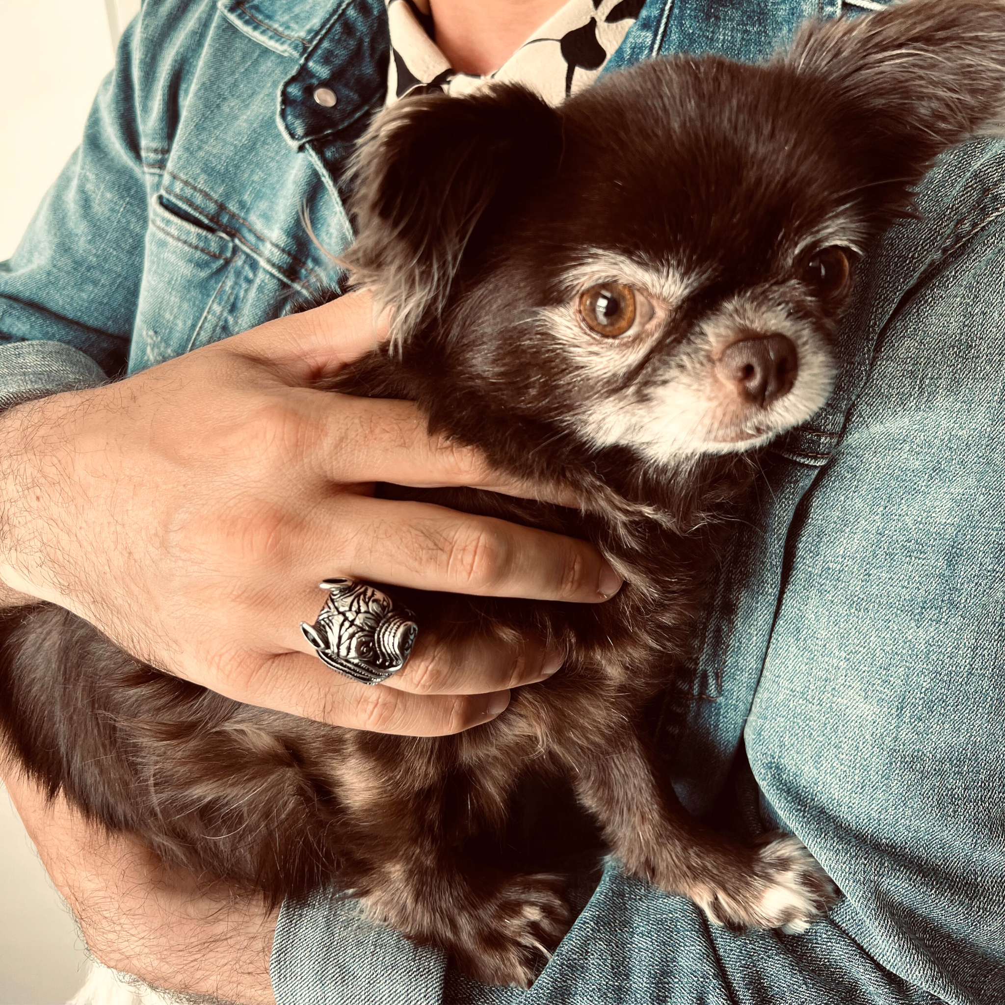 Stainless Steel Pit Bull Dog Ring