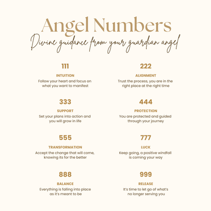 18K Gold PVD Stainless Steel Angel Number Earrings
