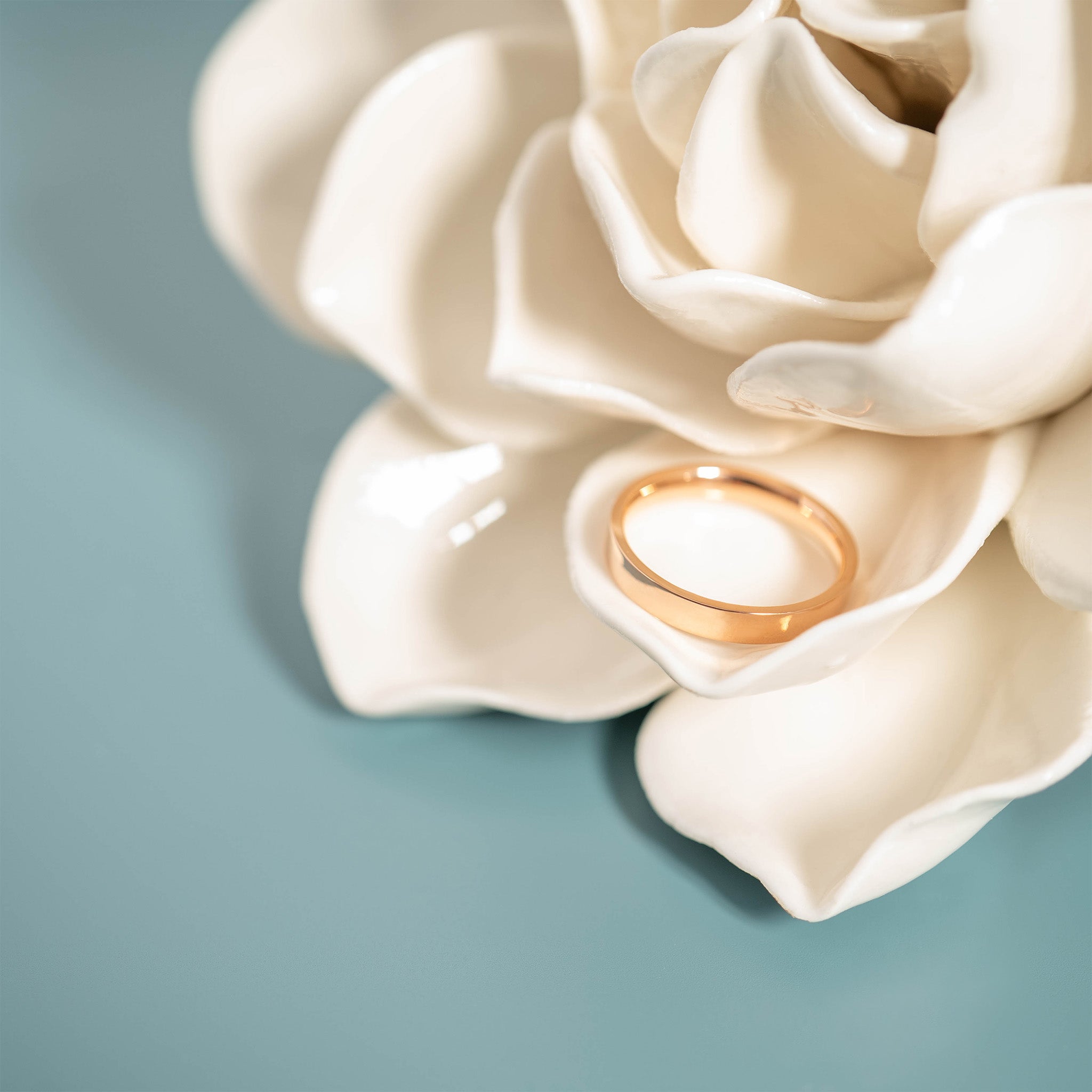 18K Rose Gold PVD Stainless Steel Flat Ring