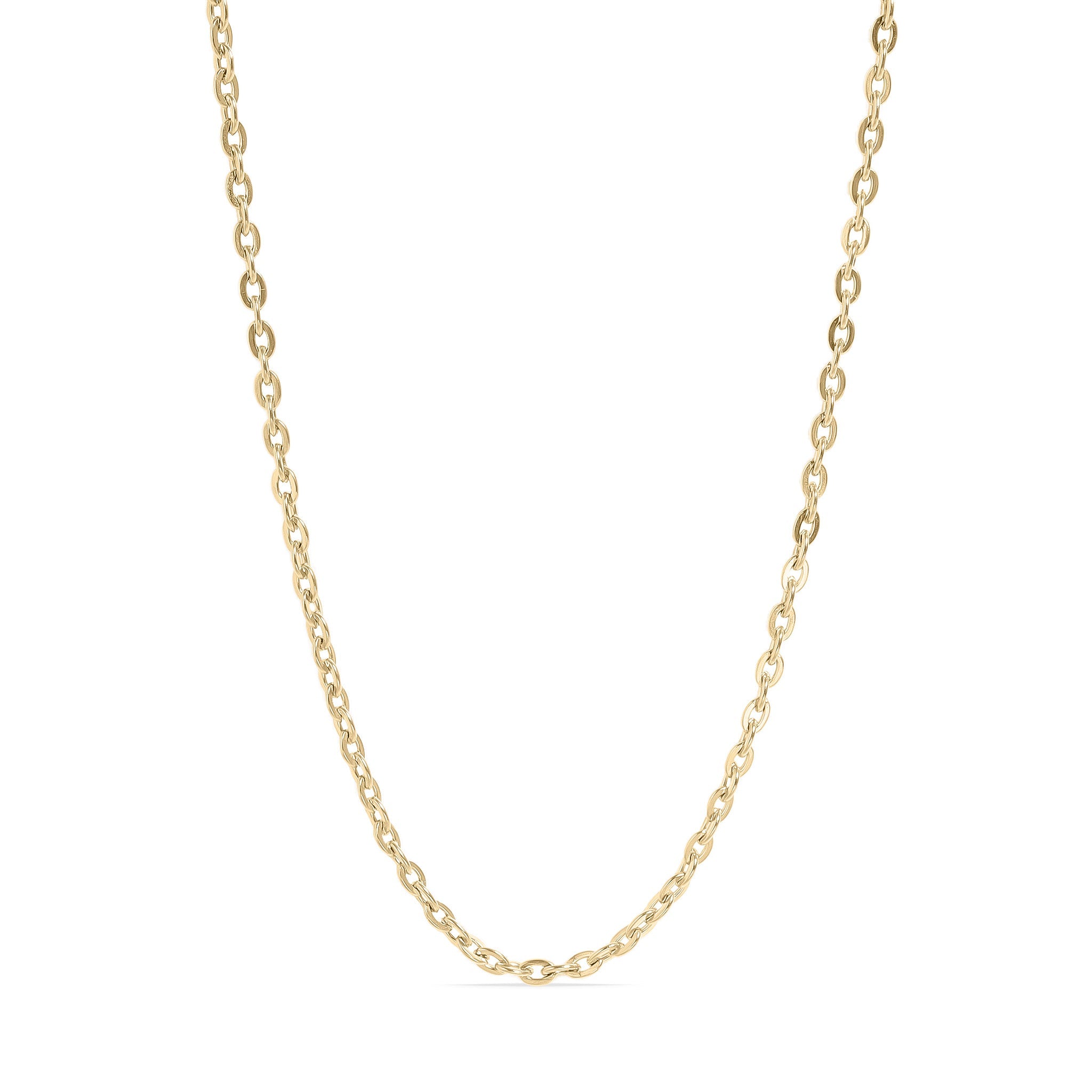 18K Gold PVD Stainless Steel Flat Oval Loop Chain