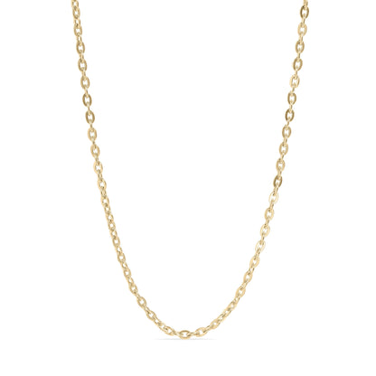 18K Gold PVD Stainless Steel Flat Oval Loop Chain