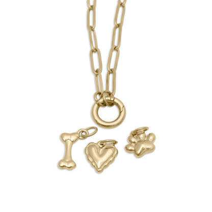 18K Gold PVD Stainless Steel Pet Charm Holder Necklace Gift Set