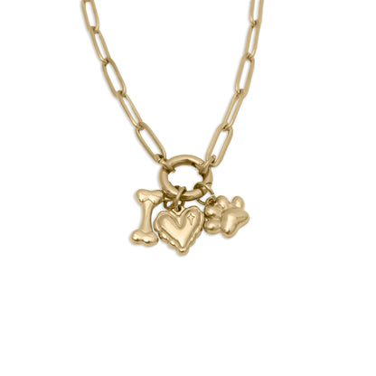 18K Gold PVD Stainless Steel Pet Charm Holder Necklace Gift Set