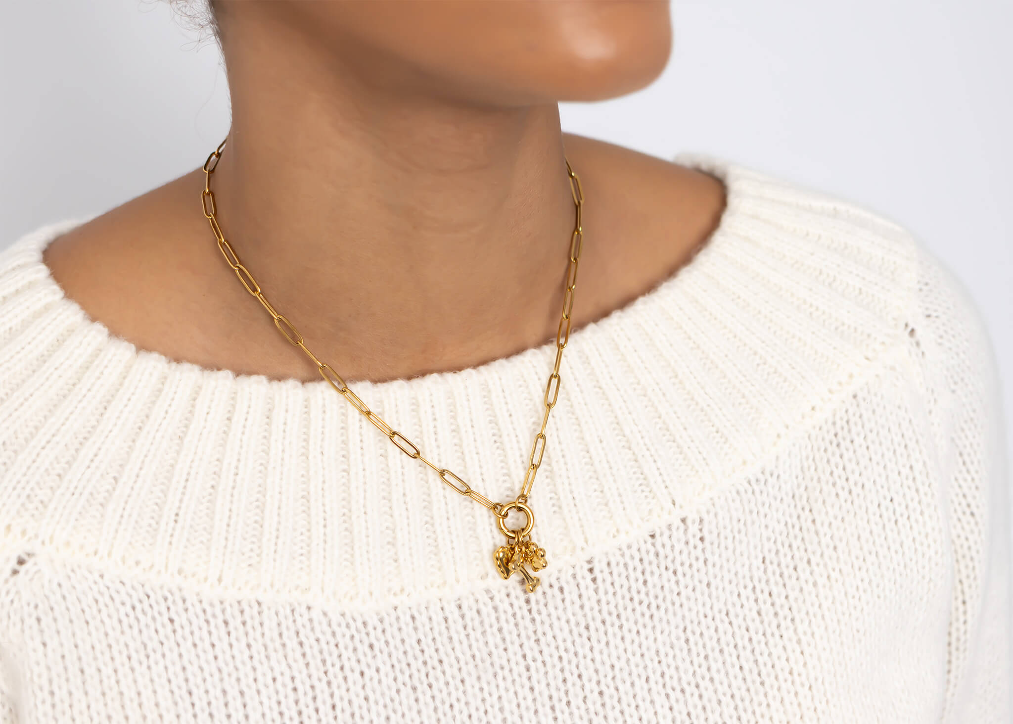 18K Gold PVD Stainless Steel Pet Charm Holder Necklace Gift Set