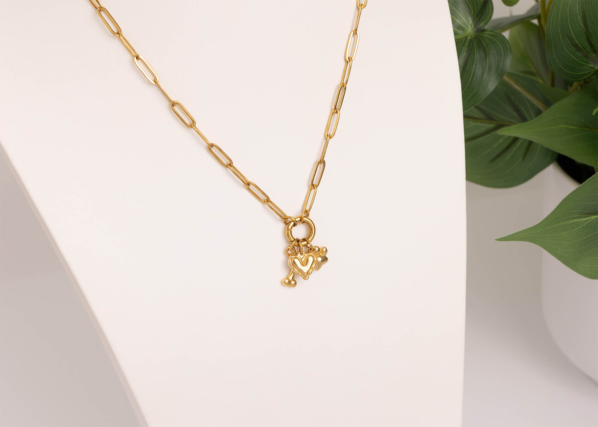 18K Gold PVD Stainless Steel Pet Charm Holder Necklace Gift Set