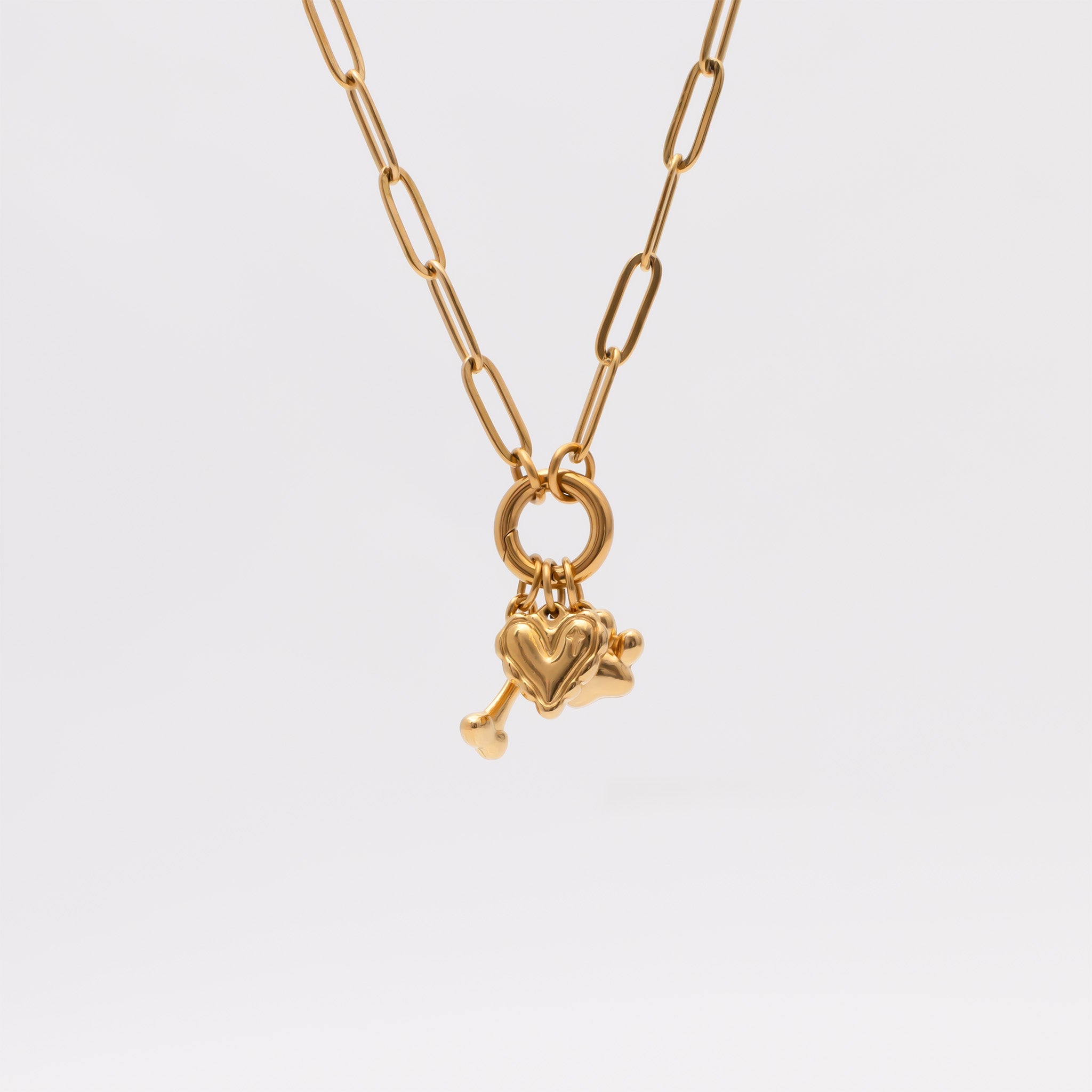 18K Gold PVD Stainless Steel Pet Charm Holder Necklace Gift Set