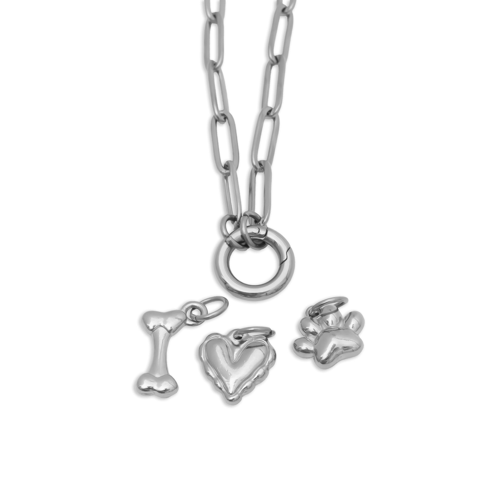 18K Gold PVD Stainless Steel Pet Charm Holder Necklace Gift Set