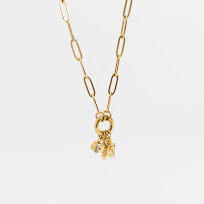 18K Gold PVD Stainless Steel Shell Anchor Charm Holder Necklace Gift Set