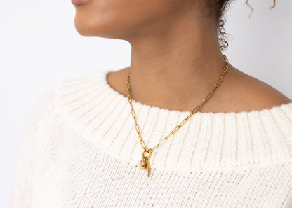 18K Gold PVD Stainless Steel Angel Wing Charm Holder Necklace Gift Set