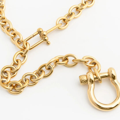 18K Gold PVD Stainless Steel Y Necklace with Horse shoe Carabiner