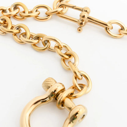 18K Gold PVD Stainless Steel Y Necklace with Horse shoe Carabiner