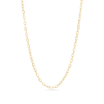 14K Gold Filled PLUS Loop/Cable Chain Necklace
