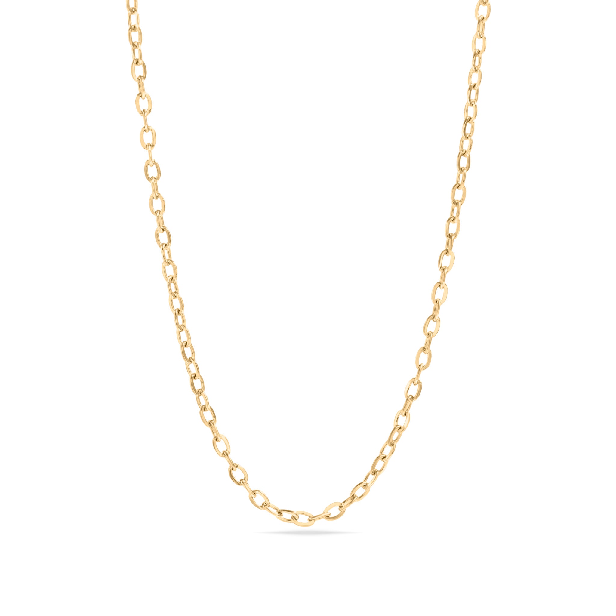 18K Gold PVD Stainless Steel PVD Coated Loop/Cable Chain Necklace