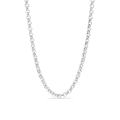 18K Gold PVD Stainless Steel Rolo Chain Necklace