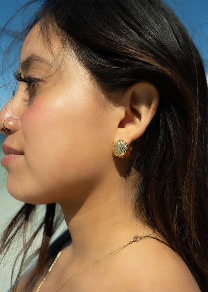 18K Gold PVD Stainless Steel Shell Huggies Earrings