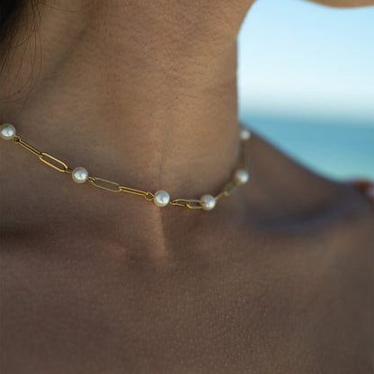 18K Gold PVD Stainless Steel Pearl Station Paperclip Chain Necklace