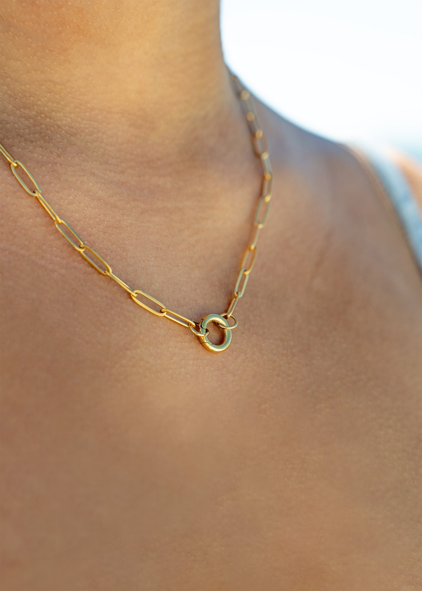 18K Gold PVD Stainless Steel Paperclip Charm Holder Necklace