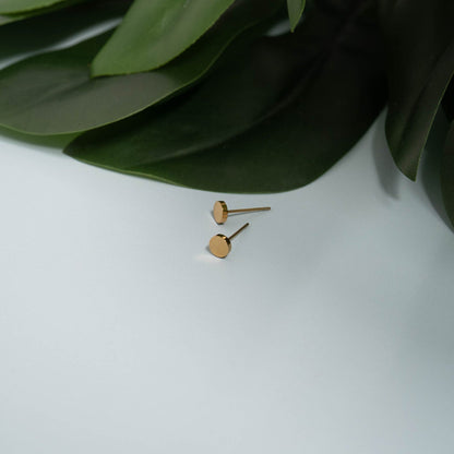 18K Gold PVD Stainless Steel Round Stud Earrings