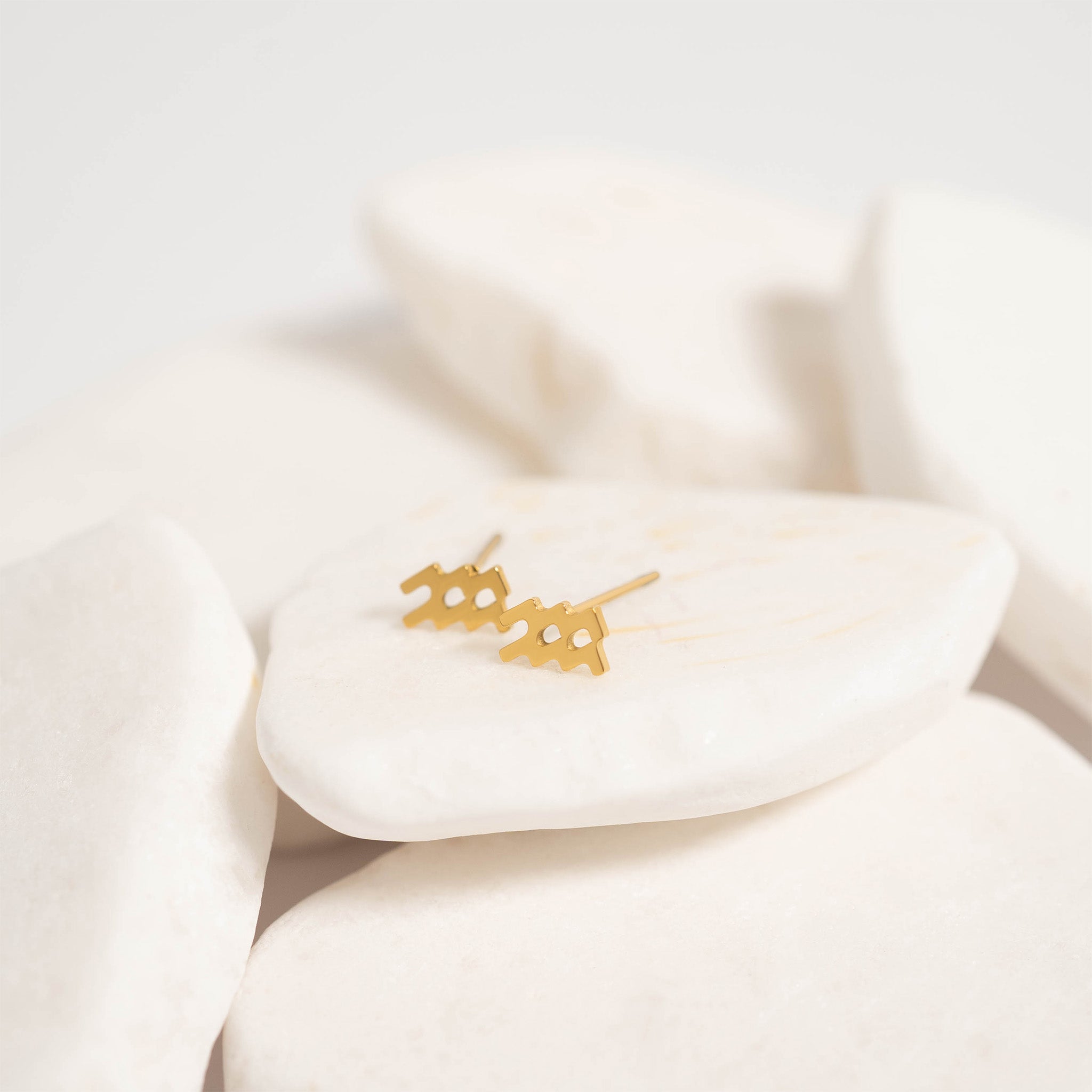 18K Gold PVD Stainless Steel Zodiac Stud Earrings