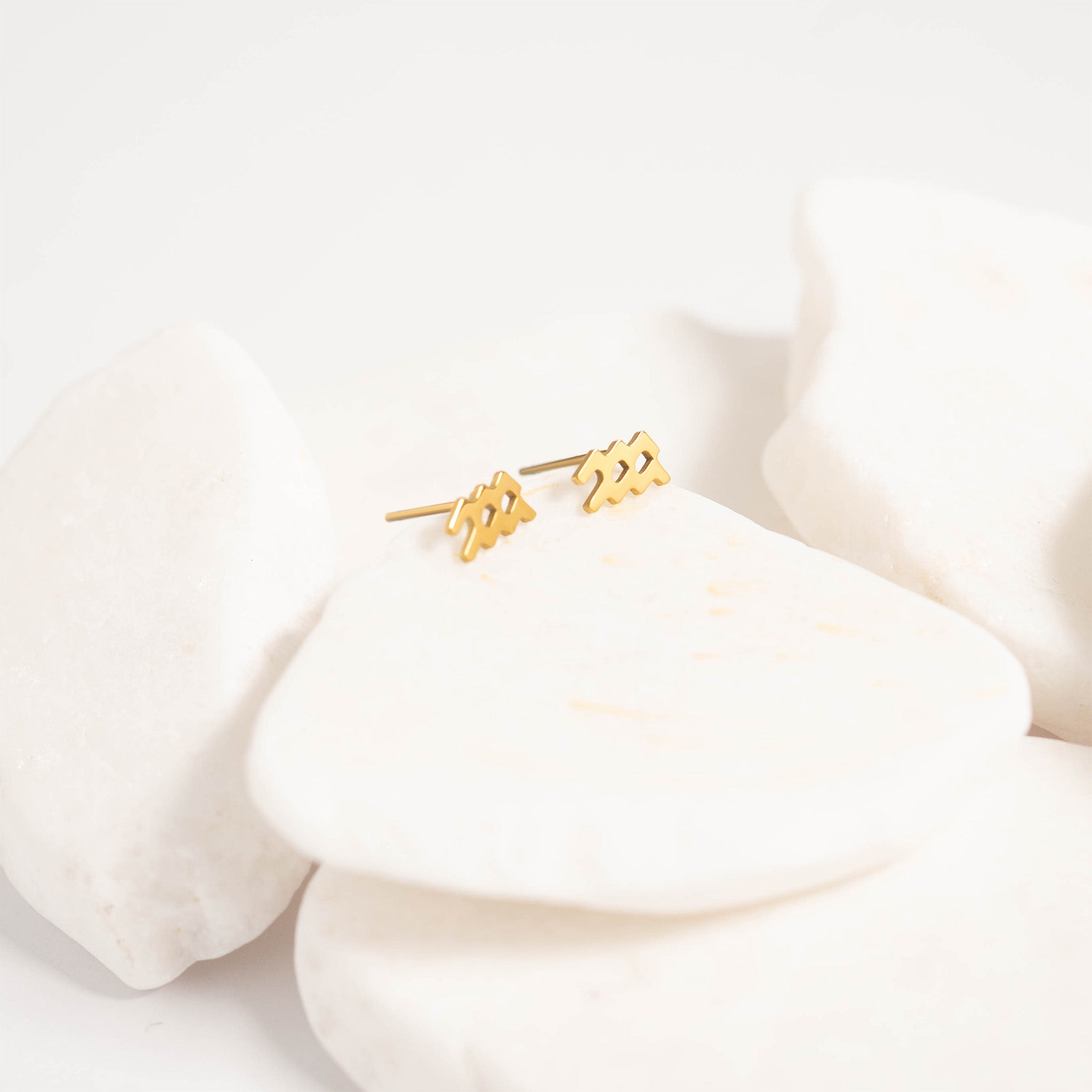 18K Gold PVD Stainless Steel Zodiac Stud Earrings