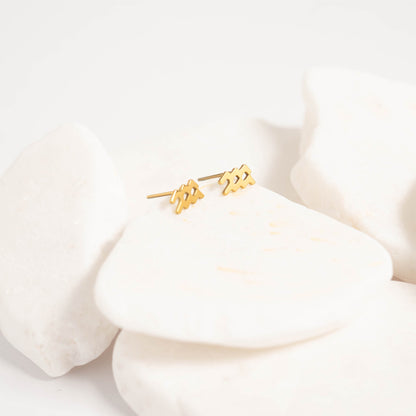 18K Gold PVD Stainless Steel Zodiac Stud Earrings