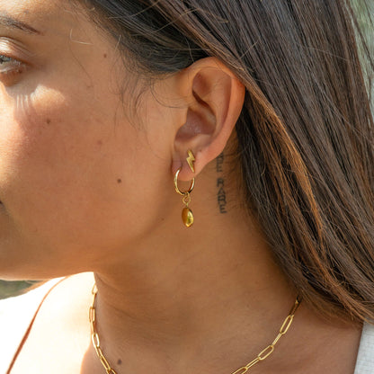 18K Gold PVD Stainless Steel Lightning Bolt Stud Earrings