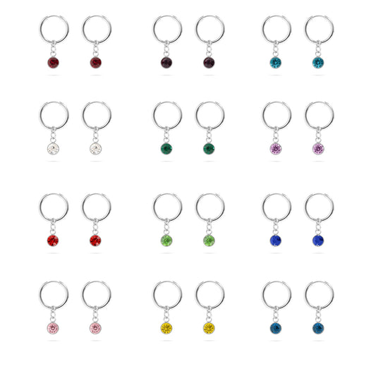 Stainless Steel Birthstone Huggie Earrings