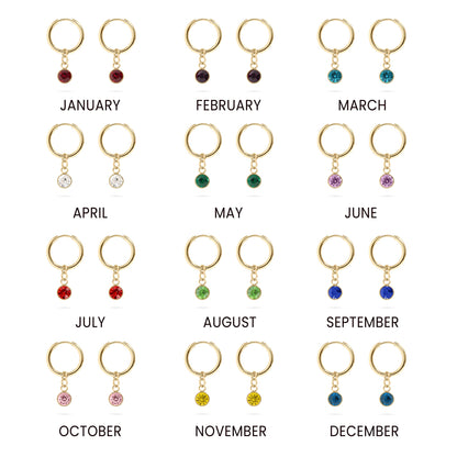 18K Gold PVD Birthstone Huggie Earrings