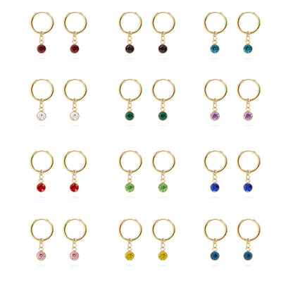 18K Gold PVD Birthstone Huggie Earrings