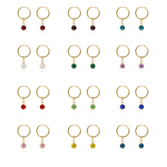 18K Gold PVD Birthstone Huggie Earrings