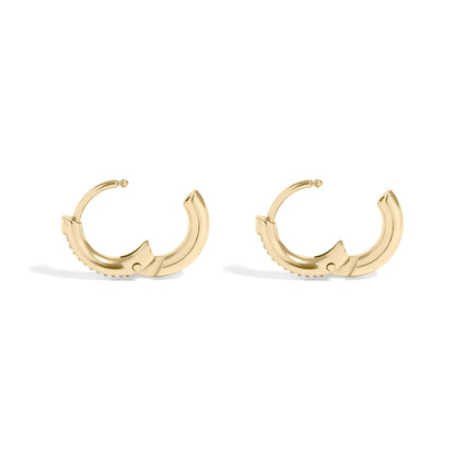 18K Gold PVD Stainless Steel CZ Stone Huggie Earrings