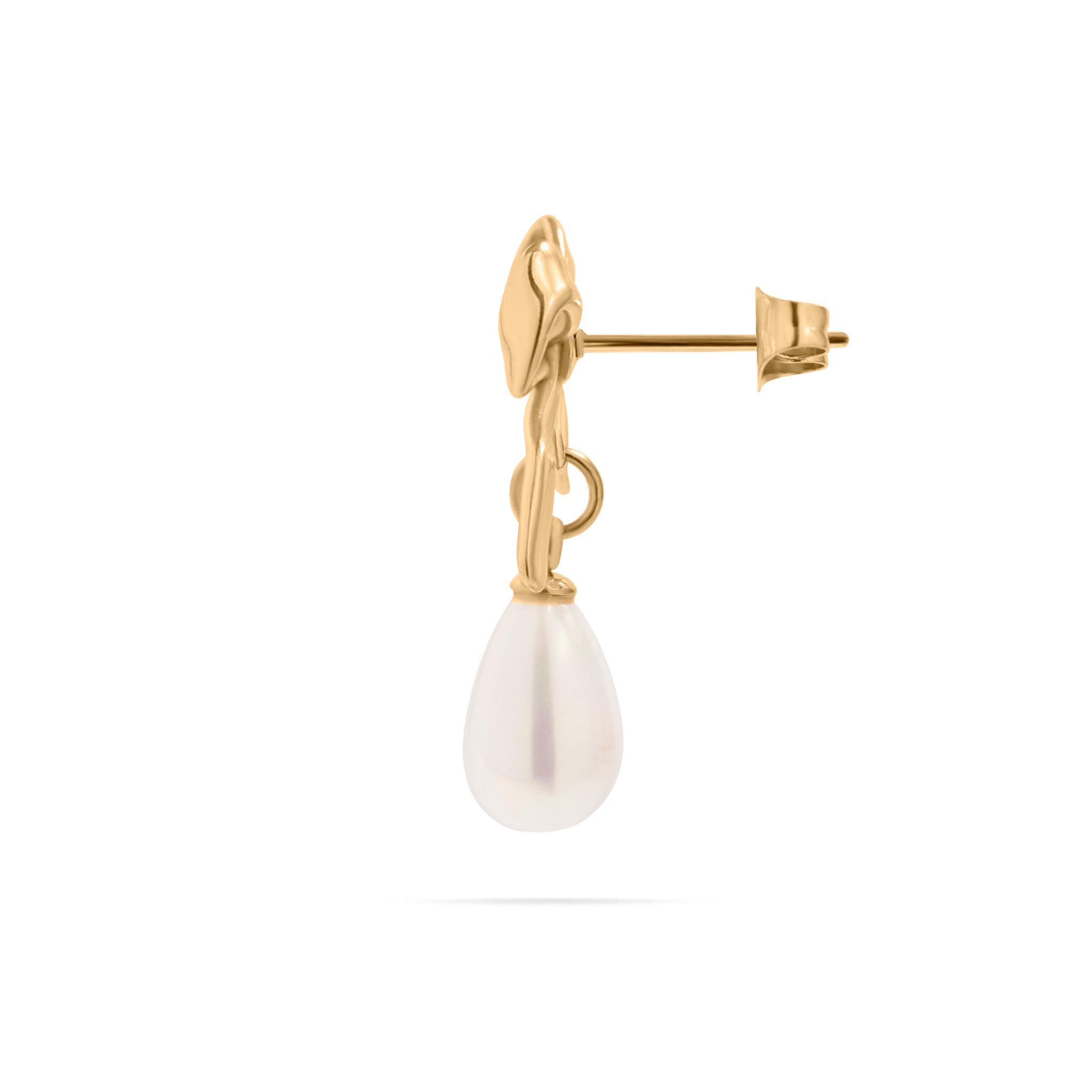 18K Gold PVD Ribbon Bow Earrings with Freshwater Pearl