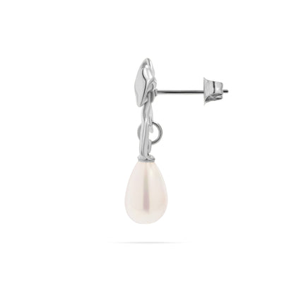 18K Gold PVD Ribbon Bow Earrings with Freshwater Pearl