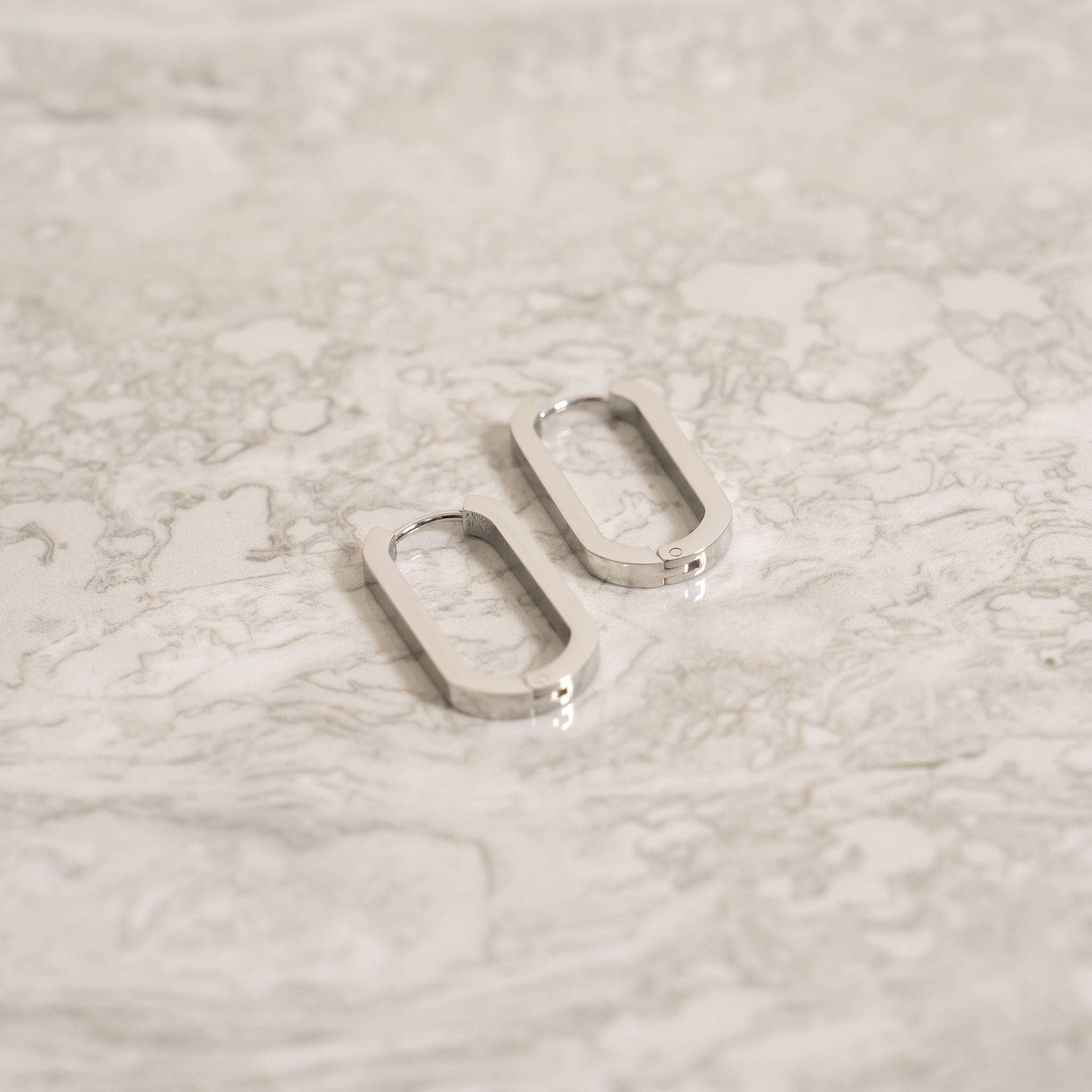 18K Gold PVD Stainless Stainless Steel Oval Huggie Earrings