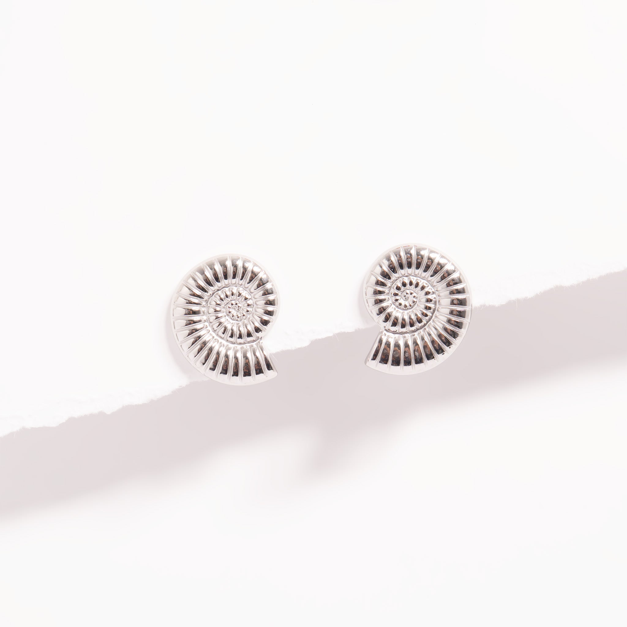 18K Gold PVD Stainless Steel Nautilus Stud Earrings