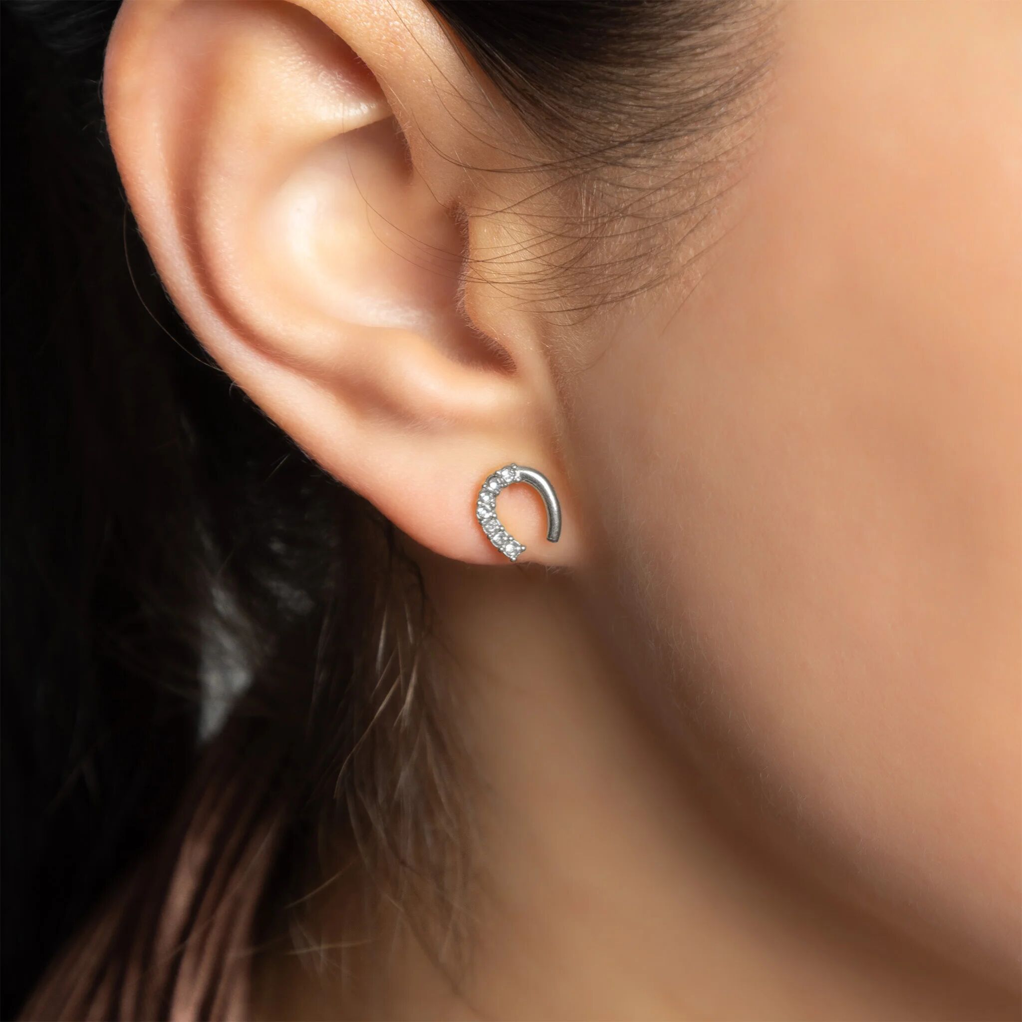 18K Gold PVD Stainless Steel Horse Shoe Stone Earrings