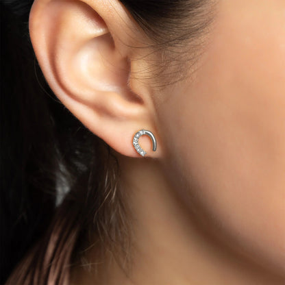18K Gold PVD Stainless Steel Horse Shoe Stone Earrings