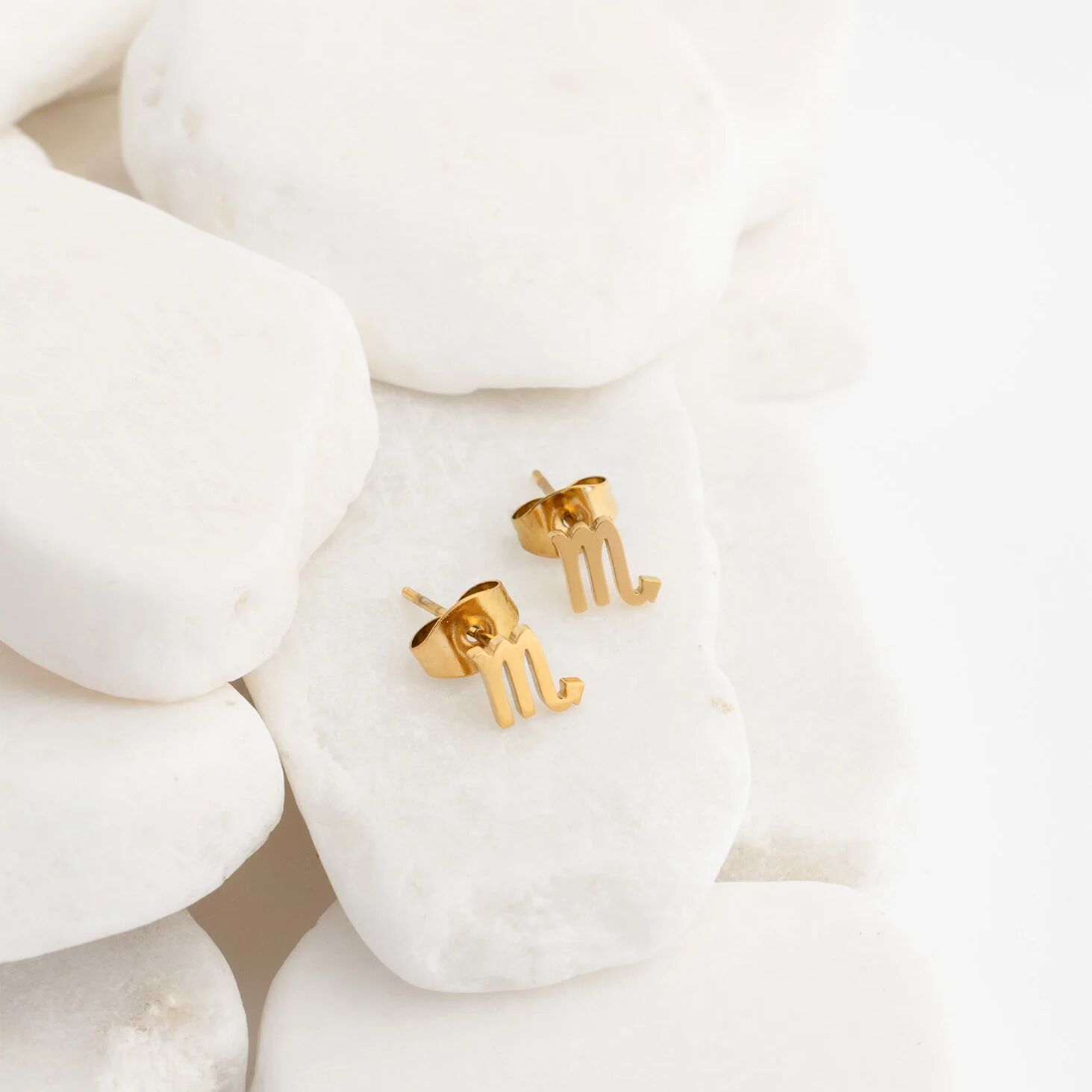 18K Gold PVD Stainless Steel Larger Zodiac Stud Earrings
