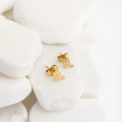 18K Gold PVD Stainless Steel Larger Zodiac Stud Earrings