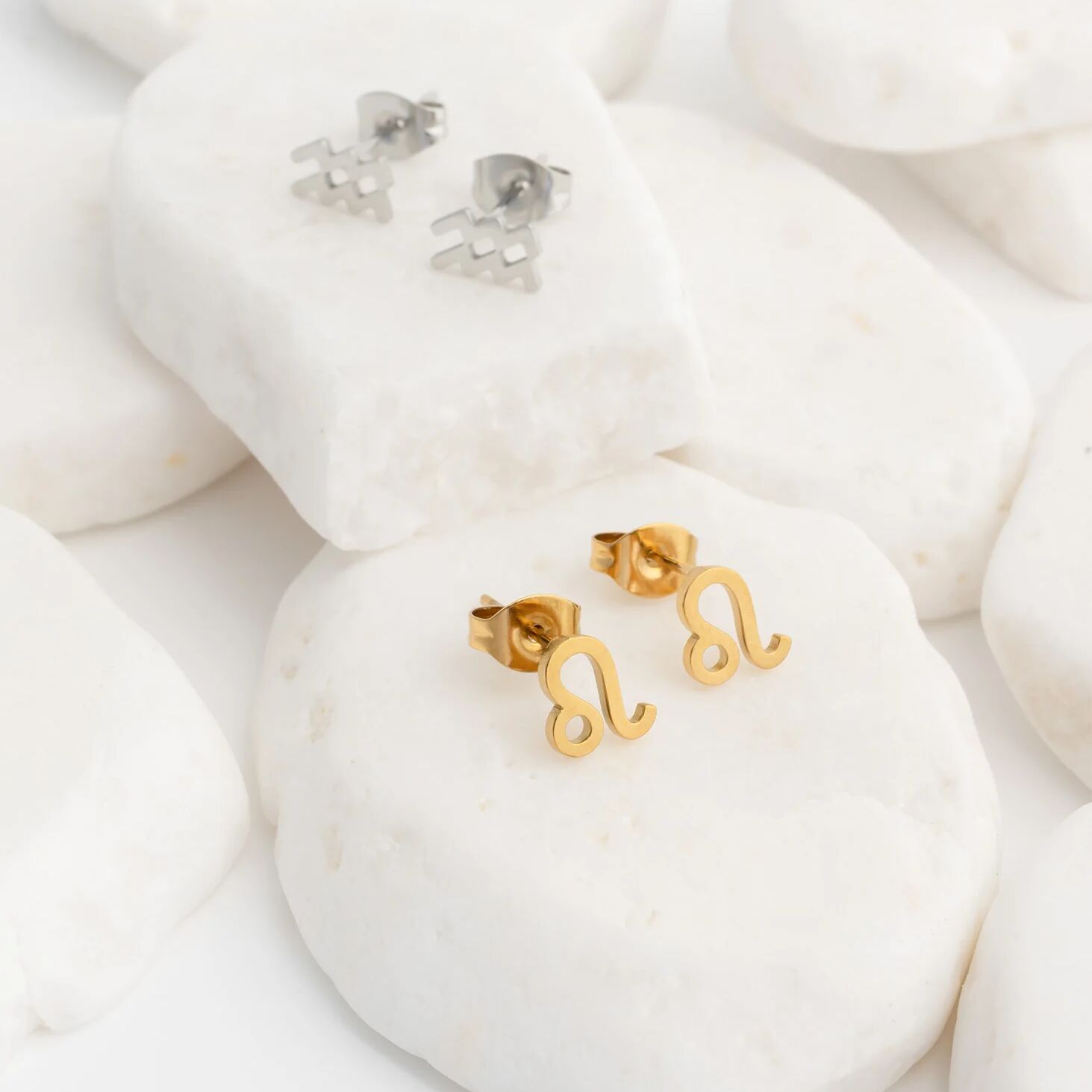 18K Gold PVD Stainless Steel Larger Zodiac Stud Earrings
