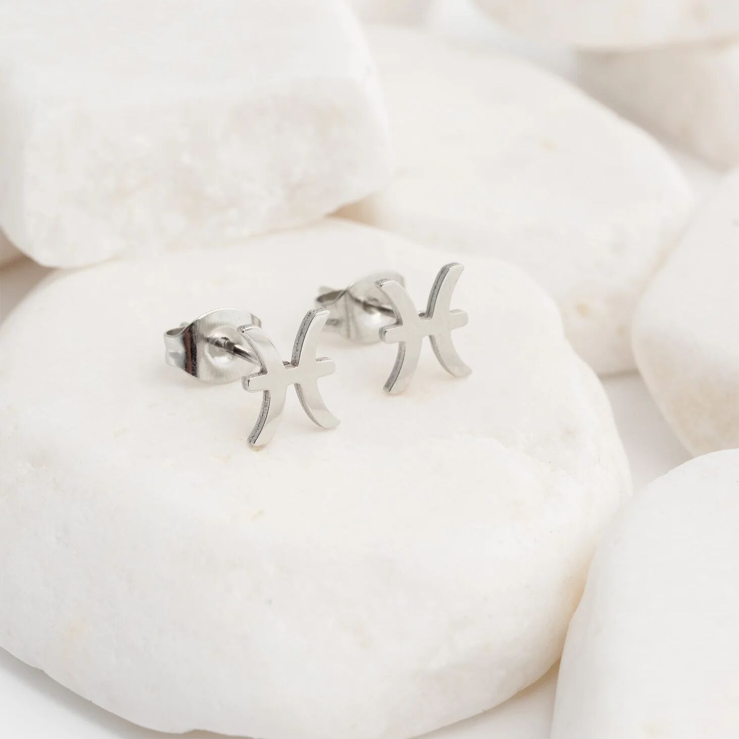 18K Gold PVD Stainless Steel Larger Zodiac Stud Earrings