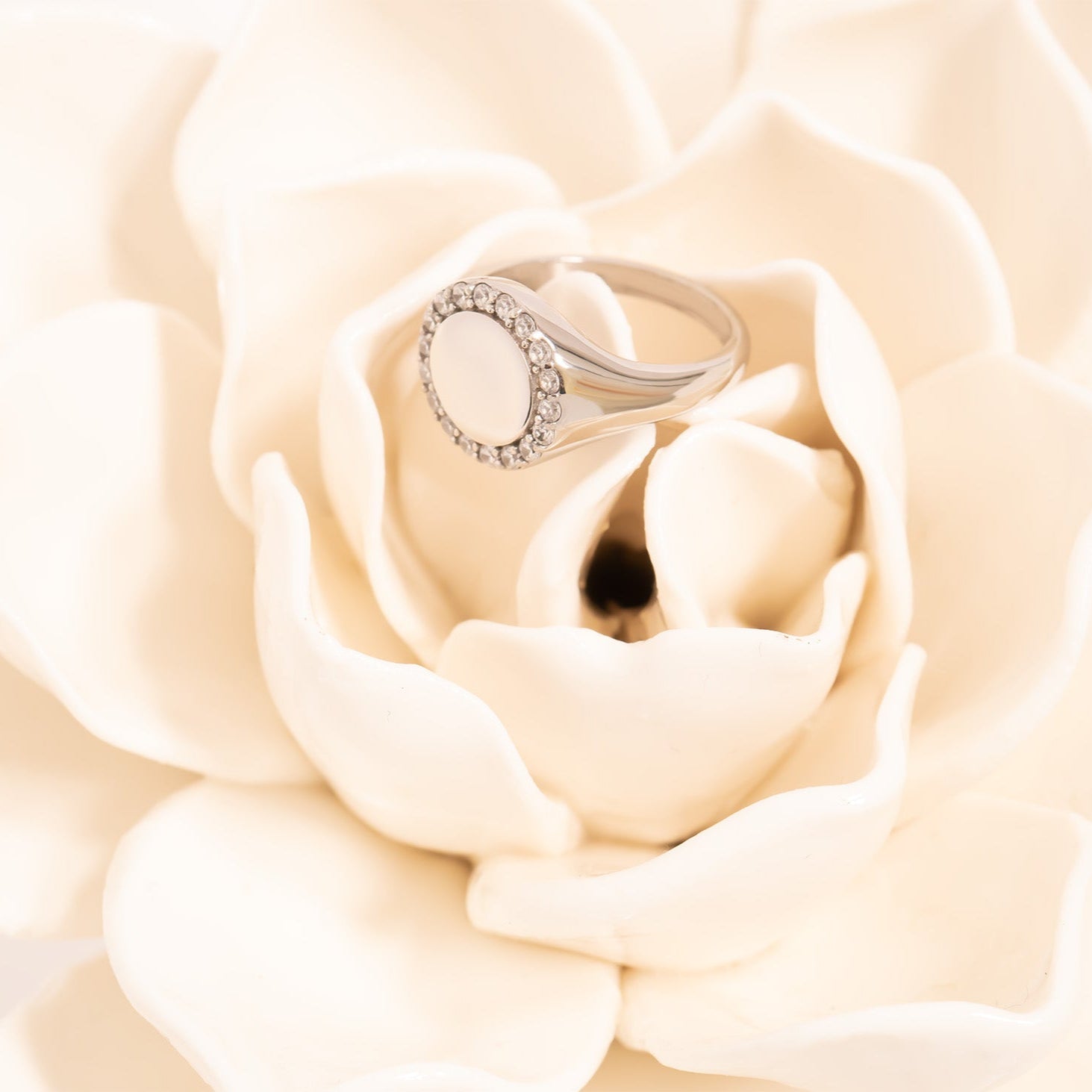 18K Gold PVD Stainless Steel Signet Ring With Stones