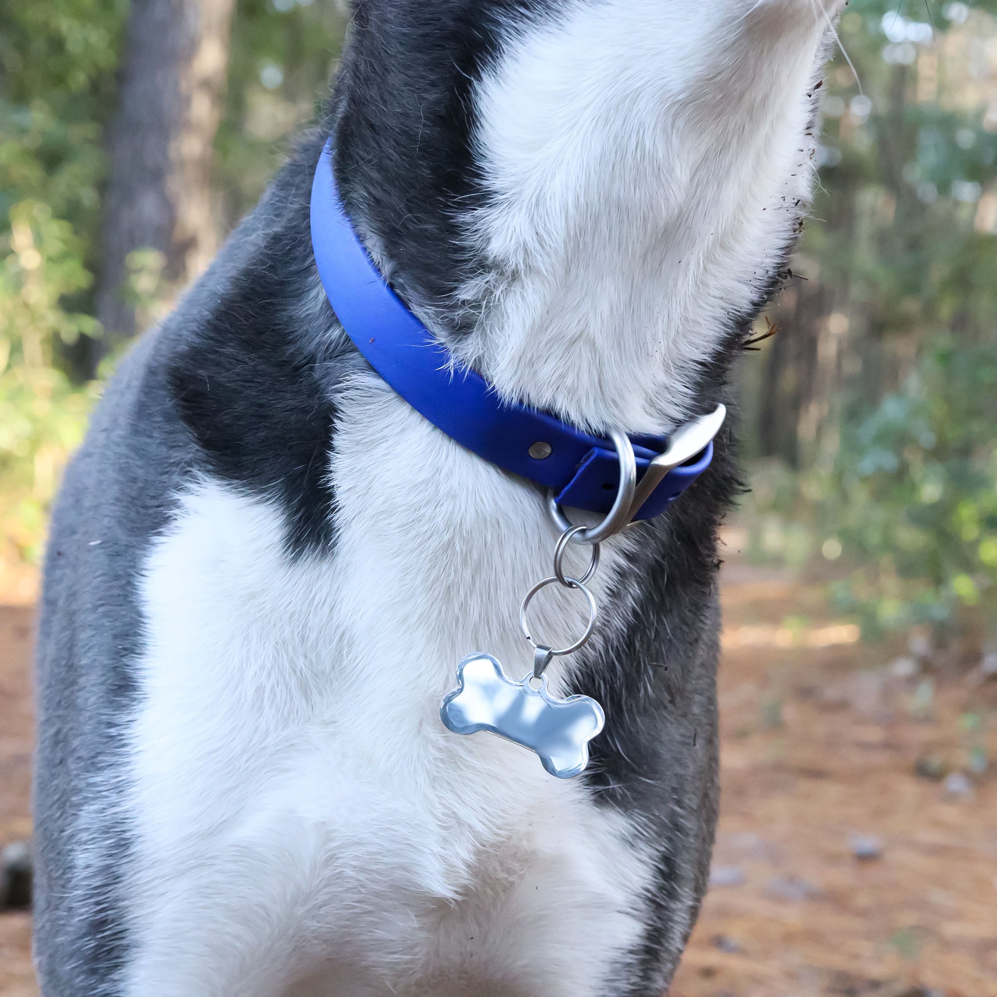 18K Gold PVD Stainless Steel Blank Dog Bone Pet Tag