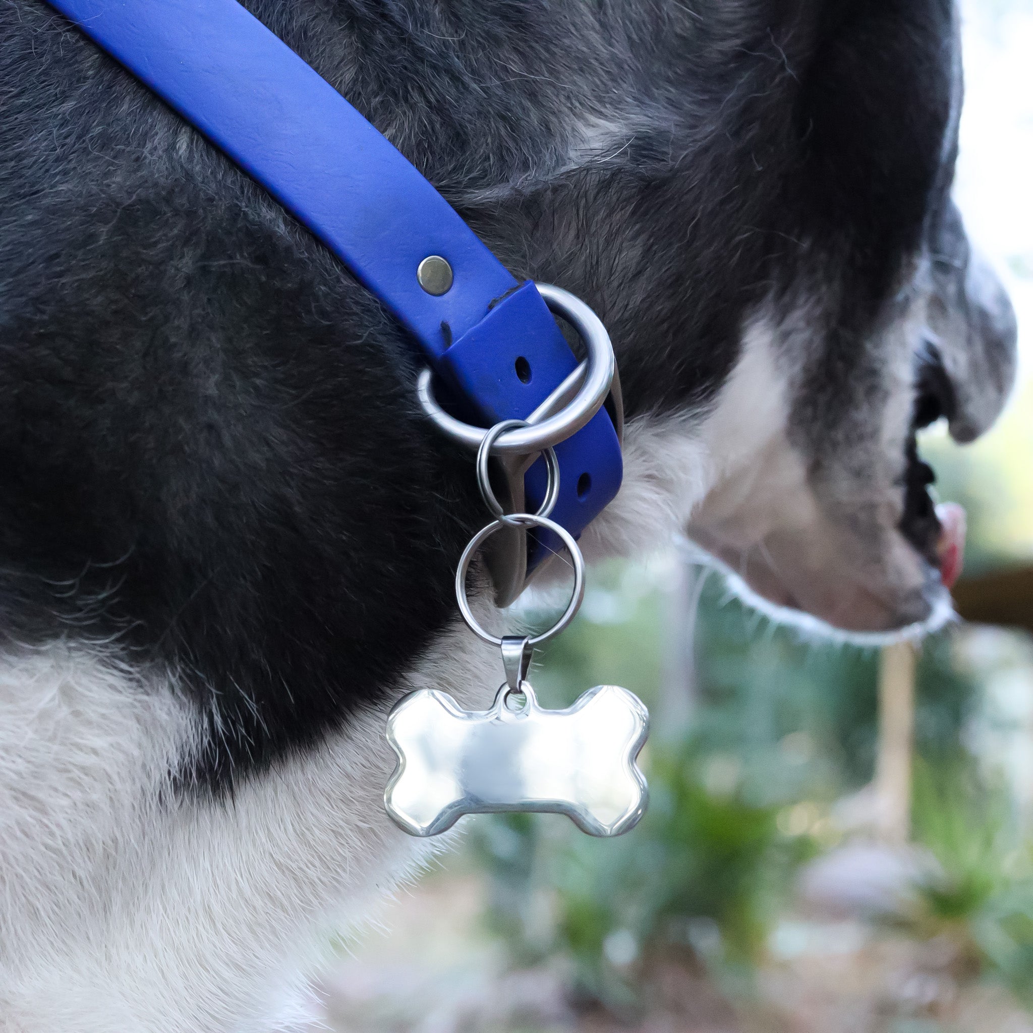 18K Gold PVD Stainless Steel Blank Dog Bone Pet Tag