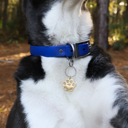 18K Gold PVD Stainless Steel Blank Paw Print Pet Tag