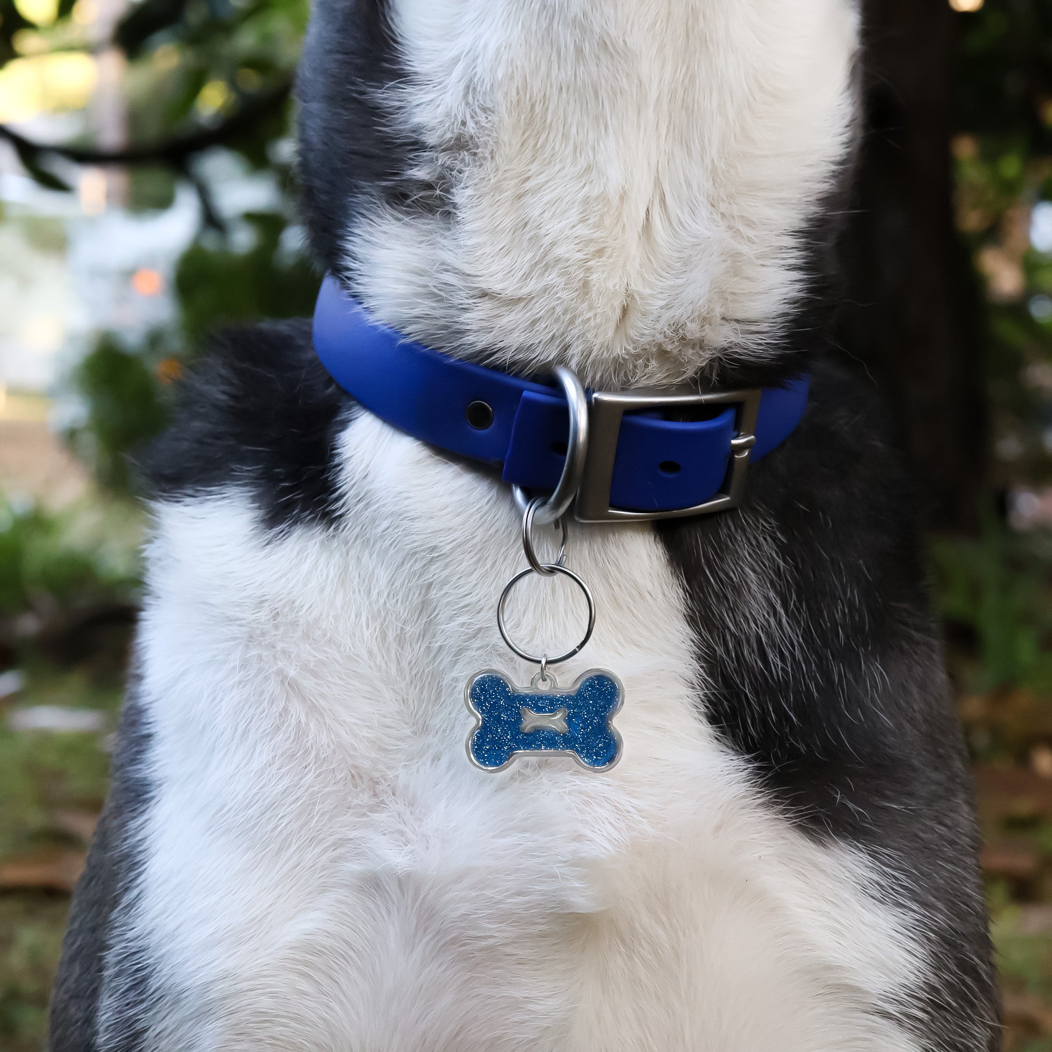 18K Gold PVD Stainless Steel Large Dog Bone Pet Tag With Glitter Epoxy