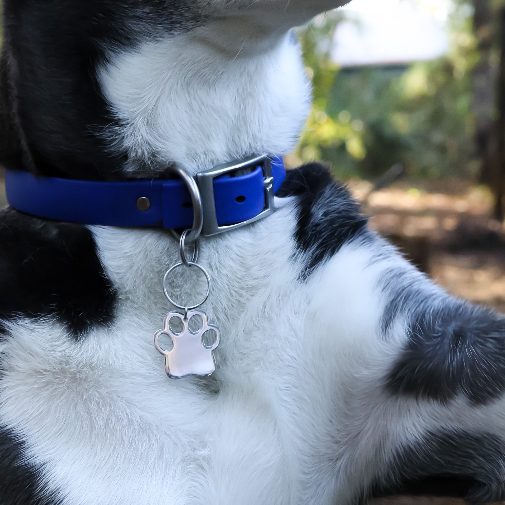 18K Gold PVD Stainless Steel Dog Paw Blank Pet Tag