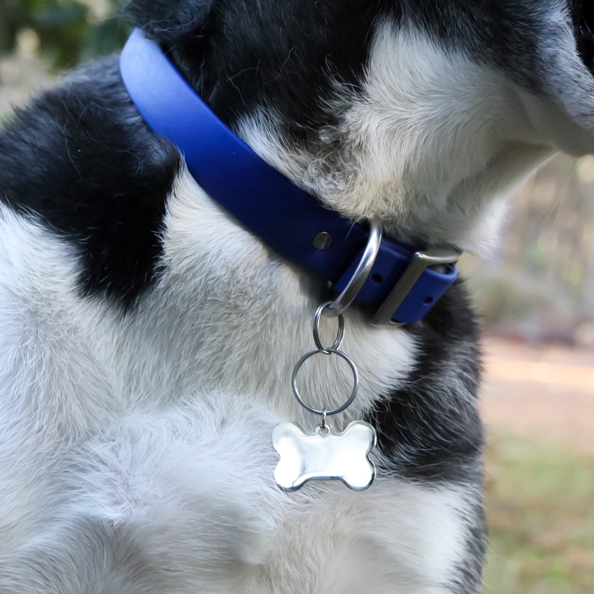 18K Gold PVD Large Blank Stainless Steel Dog Bone Tag