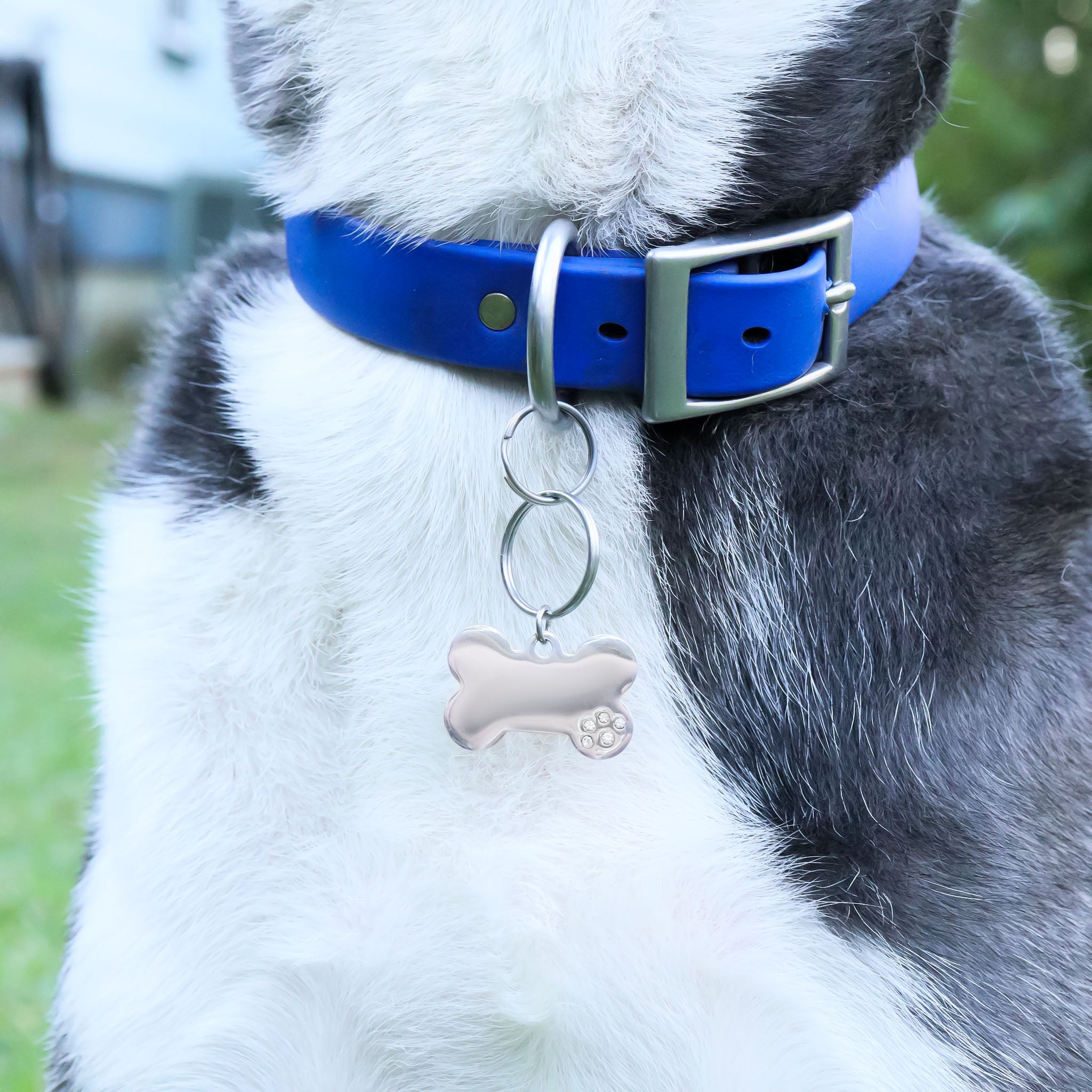 18K Gold PVD Blank Stainless Steel Dog Bone with CZ Stone Paw Pet Tag